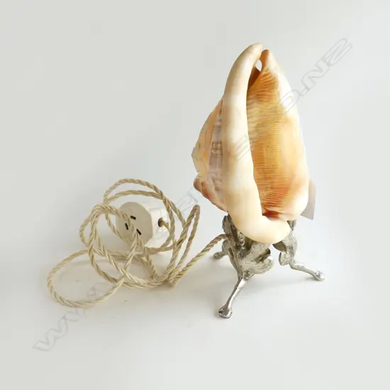 SHELL LAMP H.195mm