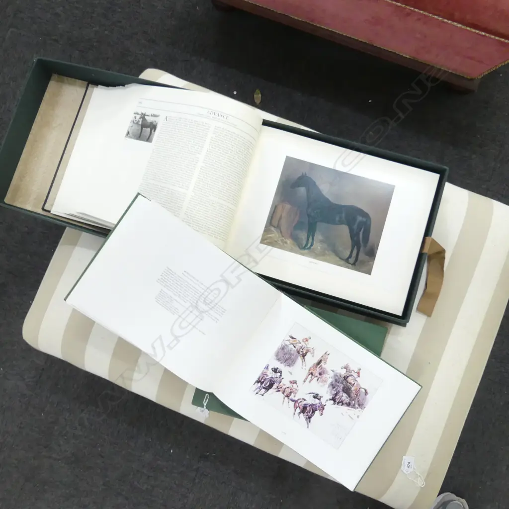 2 CASED BOOKS; ALISTER TAYLOR 'NOTABLE NZ THOROUGHBREDS' & PETER BIEGELS RACING PICTURES Image 1++