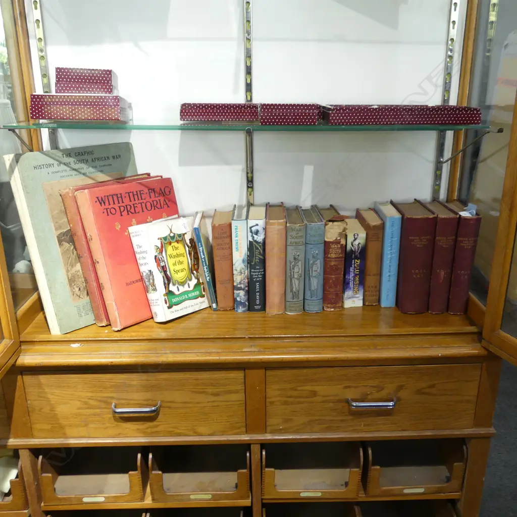 ASSORTED LOT OF BOOKS ON THE WAR IN SOUTH AFRICA Image 1++