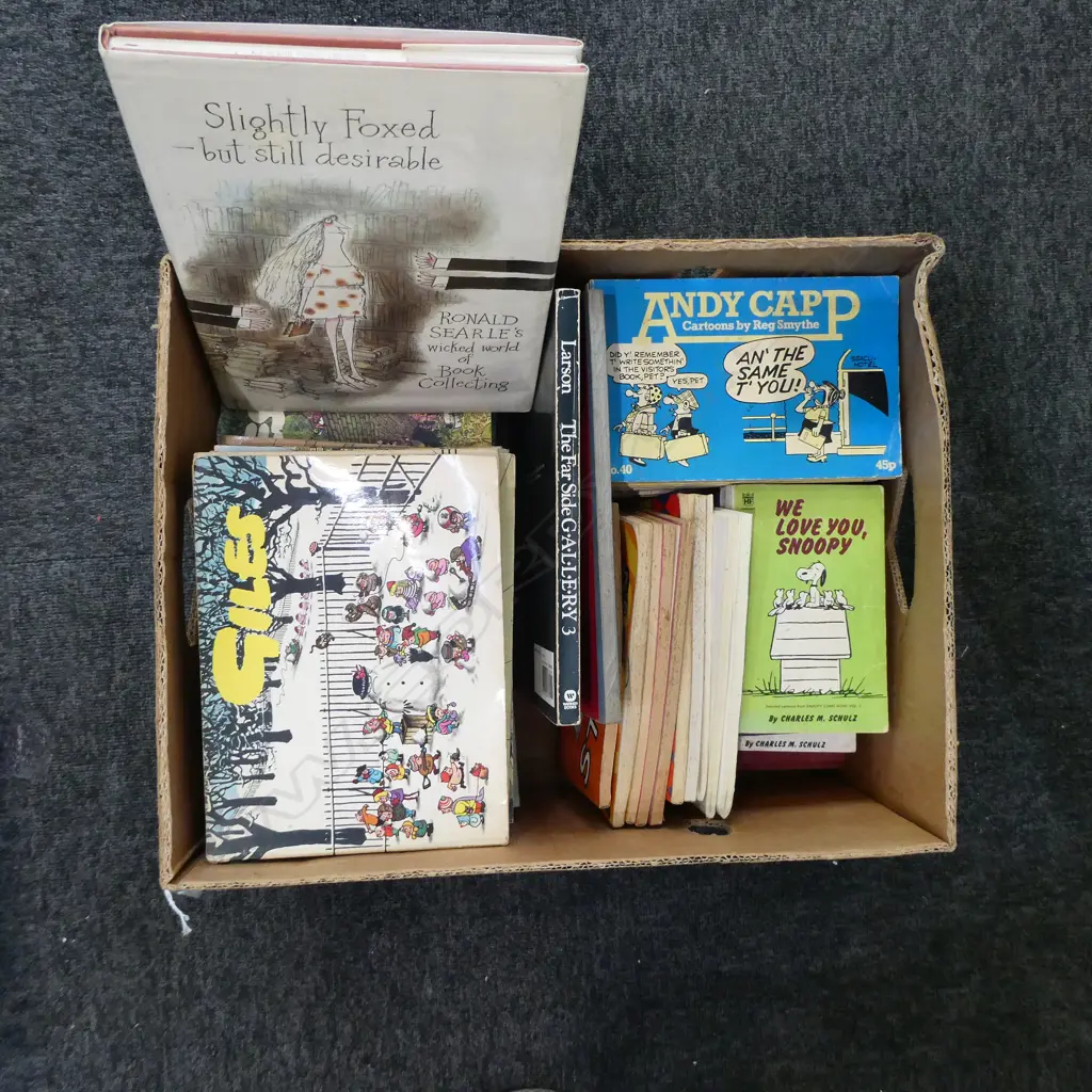 ENGLISH CARTOONS; ANDY CAP, GILES ETC Image 1++