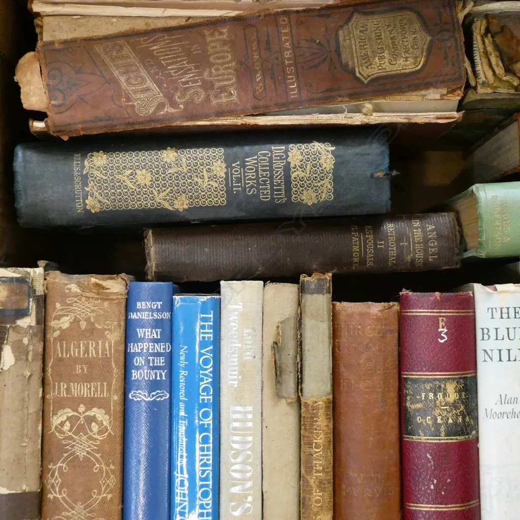 19thC EXPLORATION BOOKS Image 1++