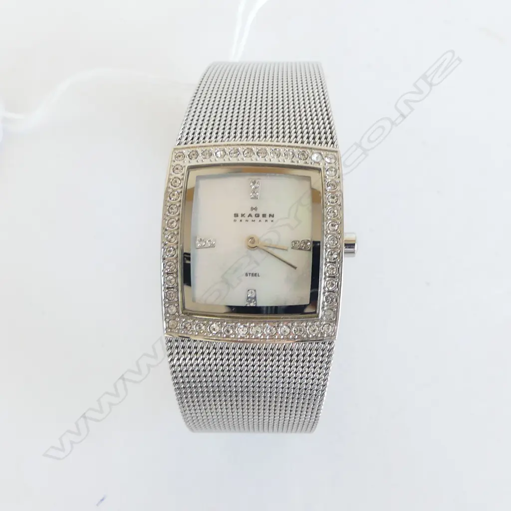 SKAGEN (DENMARK) MID SIZE DESIGNER DRESS WRISTWATCH MOP dial  'STEEL' Image 1++