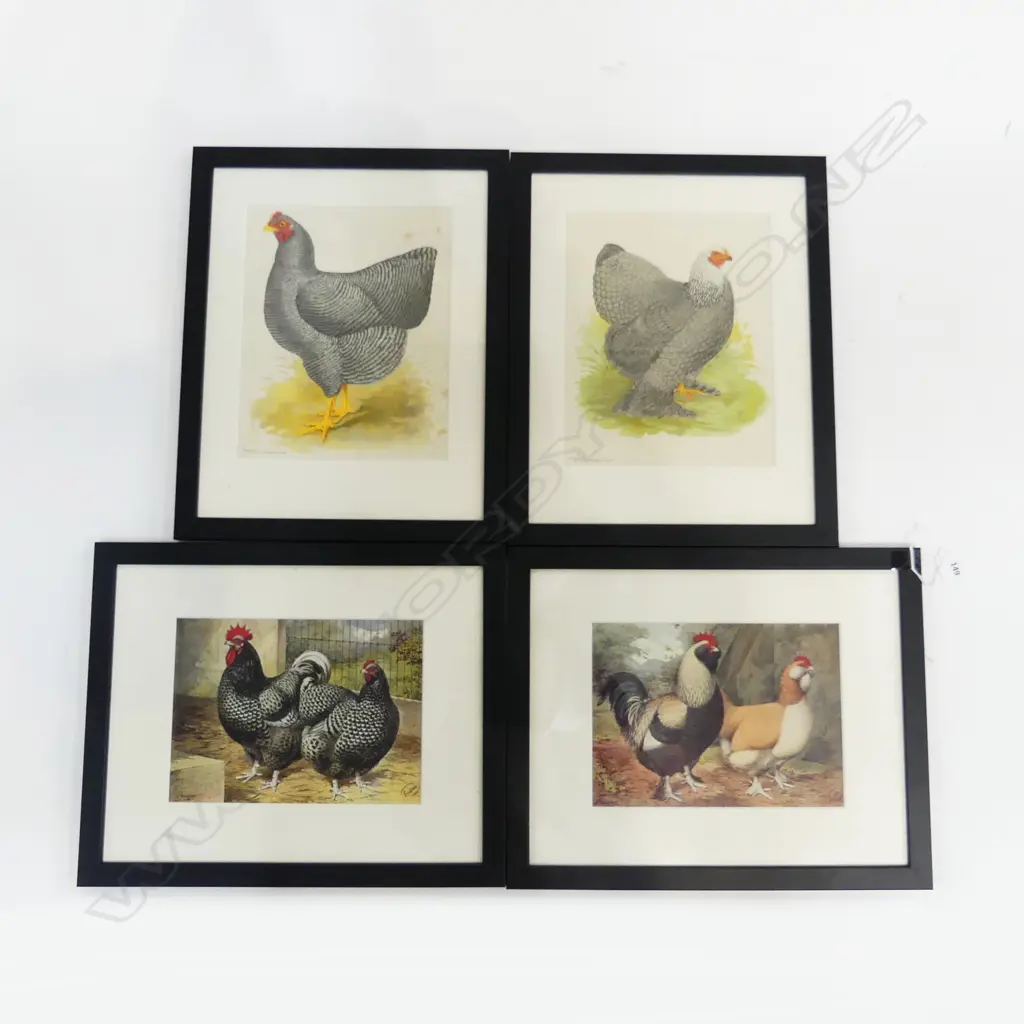 4 CHICKEN PRINTS 170x230mm Image 1++