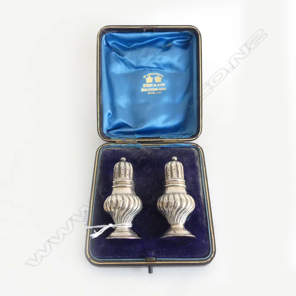 CASED PR S/SILVER PEPPER SHAKERS 50GMS Image 1++