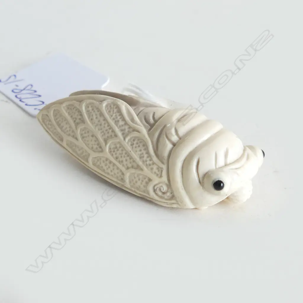 JAPANESE CARVED IVORY NETSUKE  CICADA Image 1++