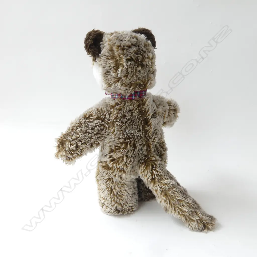 STEIFF RACCOON (with button and paper label) H.400mm Image 1++