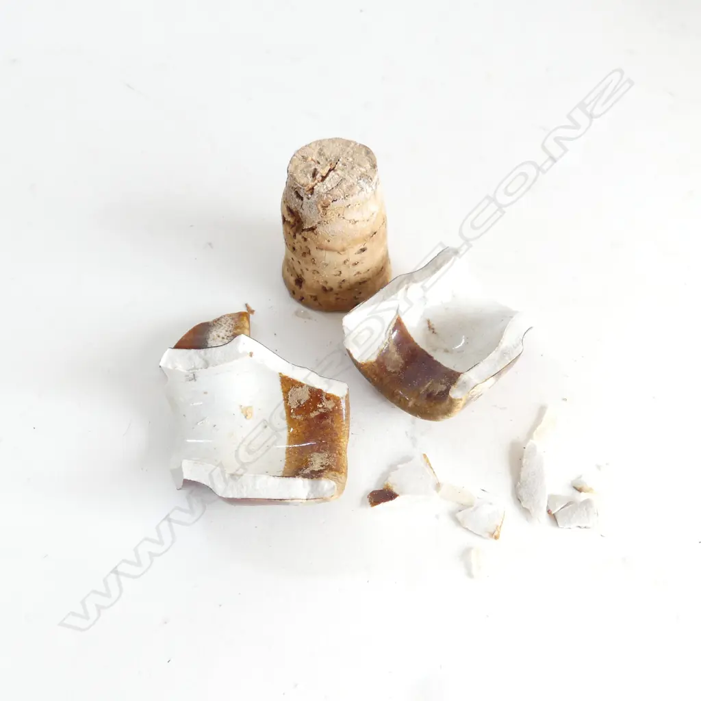 TI TOKI BOTTLE WITH ORIGINAL LABEL (TOP BROKEN OFF BUT PIECES IN A BAG) Image 1++