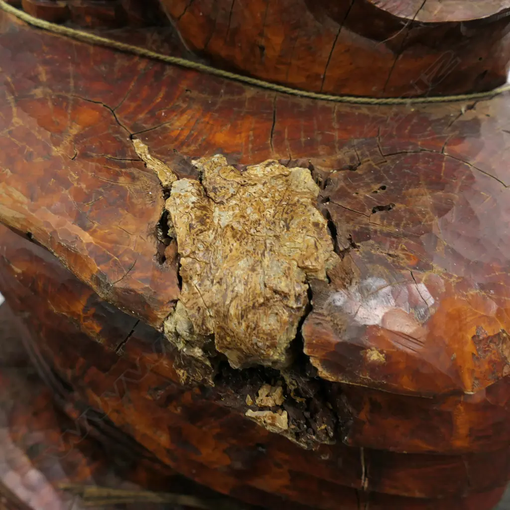 LG HEAVY OLD WOOD MAORI CARVED LIZARD FIGURE w FLUTE, KAURI GUM INCLUSIONS, 400 x 500 x 760mm Image 1++