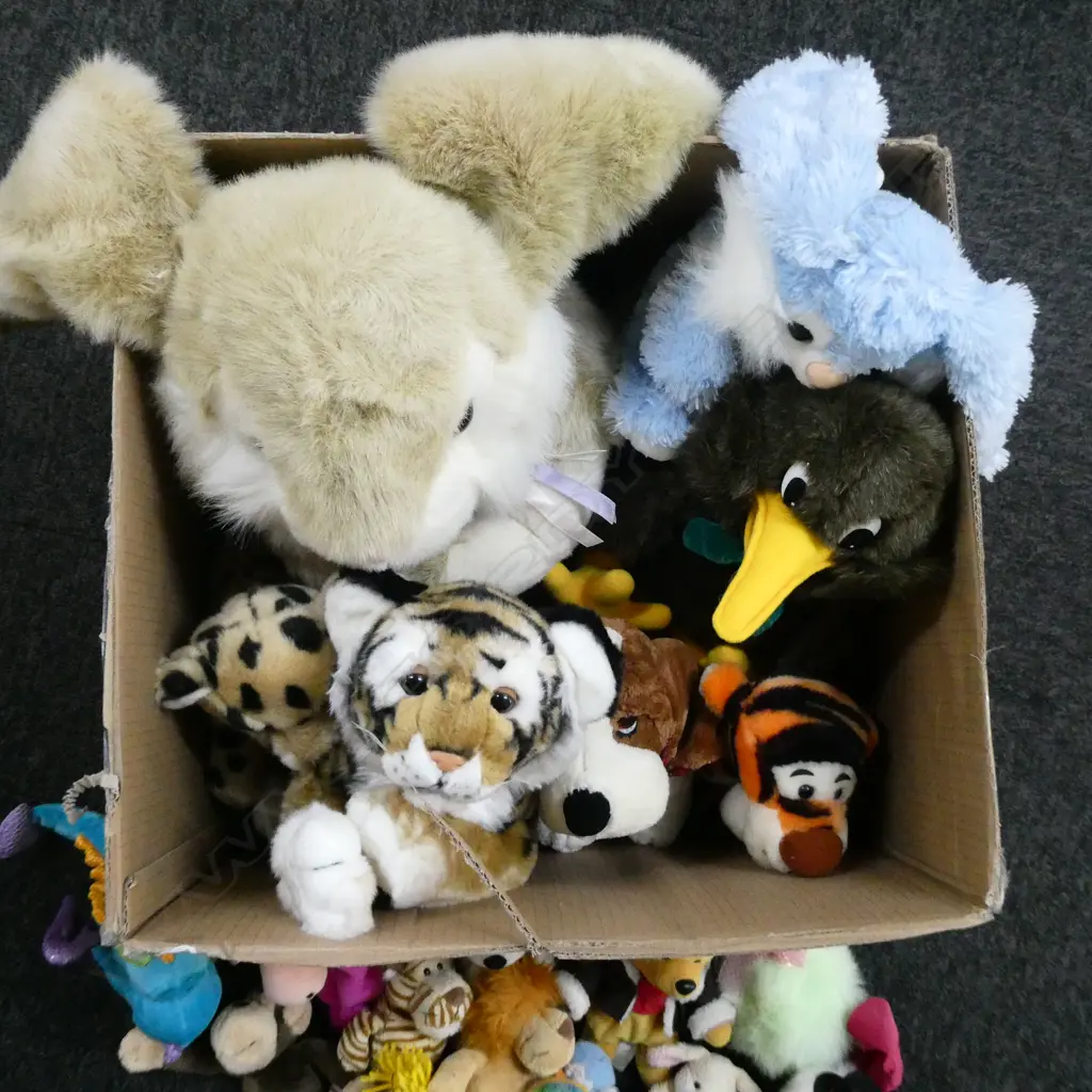 COLLECTION OF 20 AS NEW SOFT TOYS Image 1++