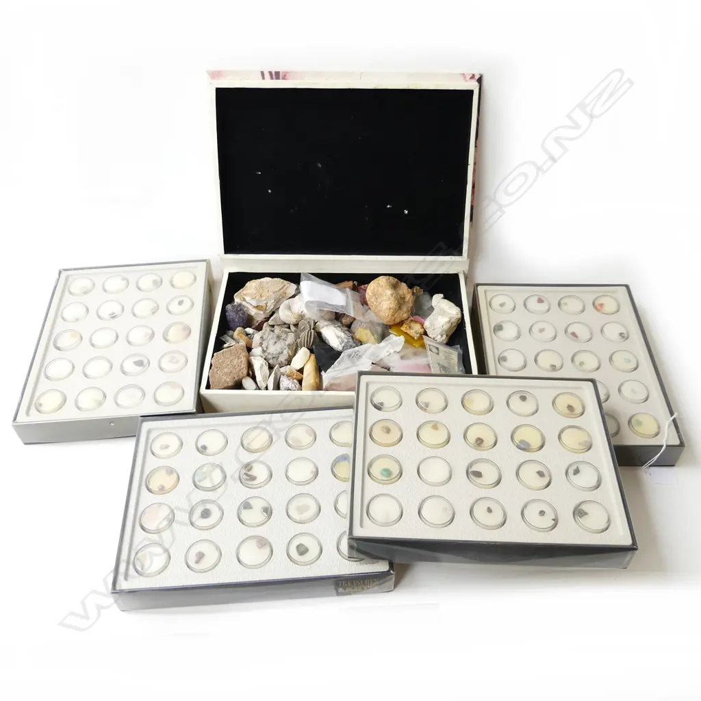 ROCK COLLECTION INCL. KAURI GUM Image 1++