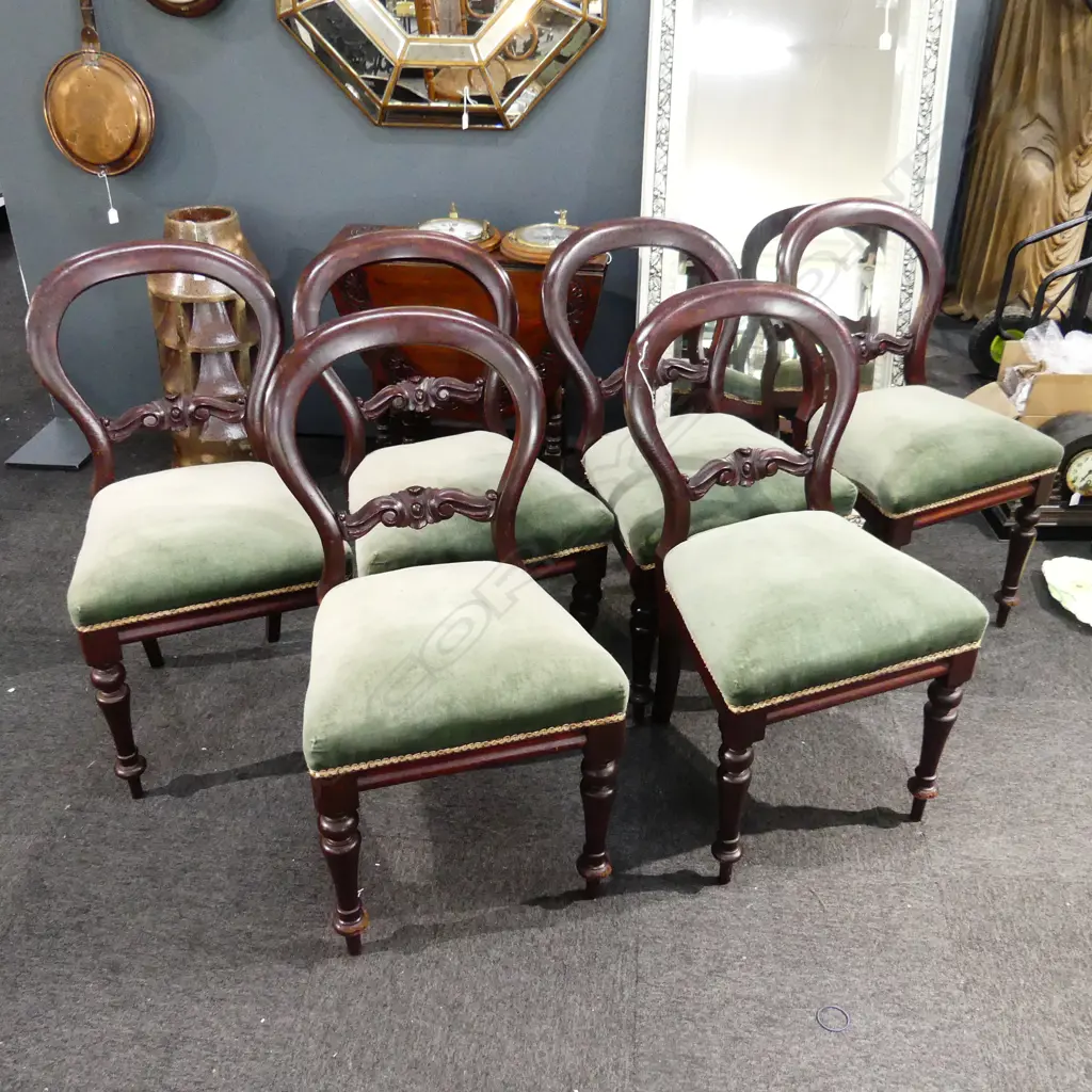 6 VICTORIAN BALLOON BACK DINING CHAIRS Image 1++