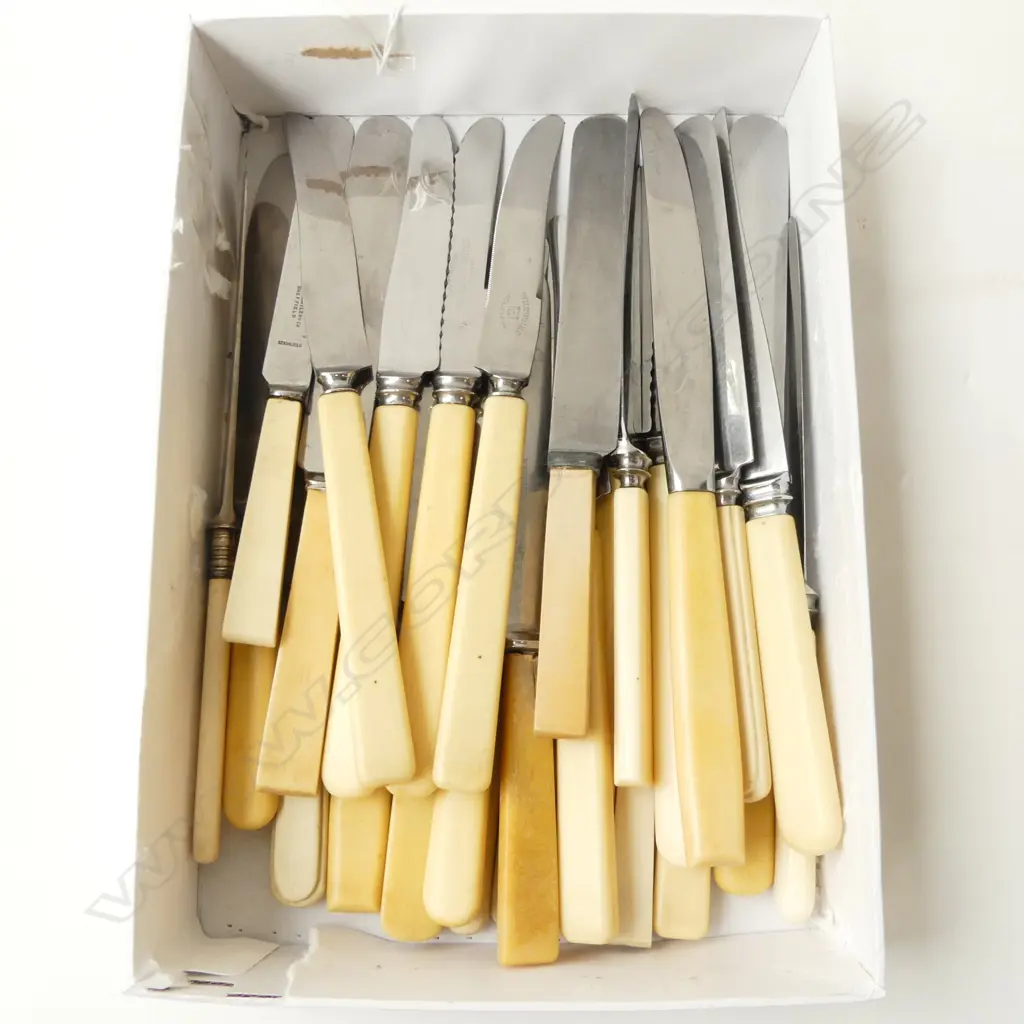 27 ASSTD. VINTAGE ‘BONE’ HANDLE KNIVES Image 1++