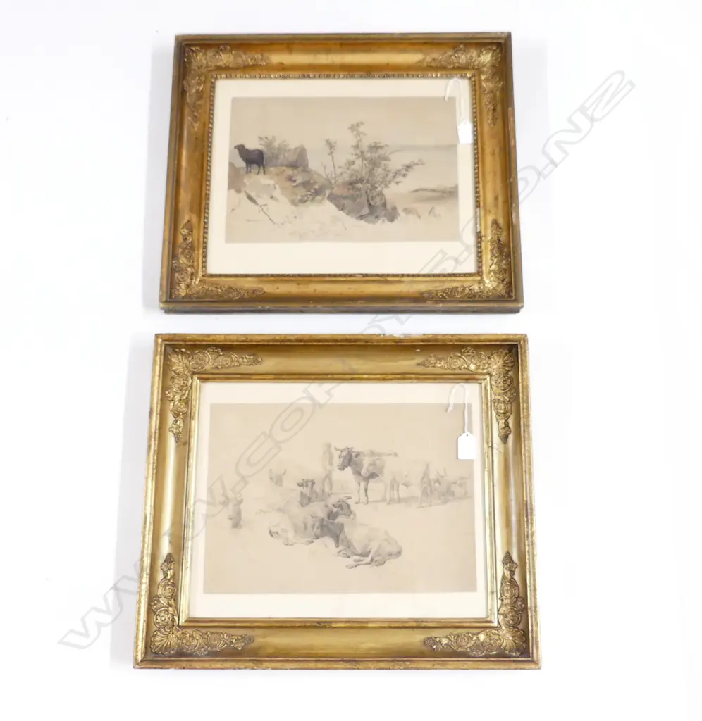 2 FINE 19thC DANISH ? INK & W/C STUDIES COWS + SHEEP IN COASTAL LANDSCAPE. 230 X 340mm IN ANTIQUE GILT FRAMES.PROV... Image 1++