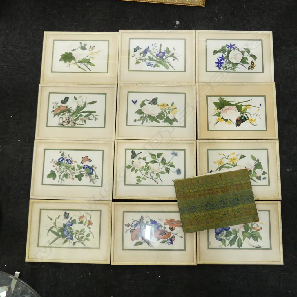 12 ANTIQUE CHINESE BOTANICAL Watercolours on RICE (pith) PAPER, 265x160mm each Image 1++