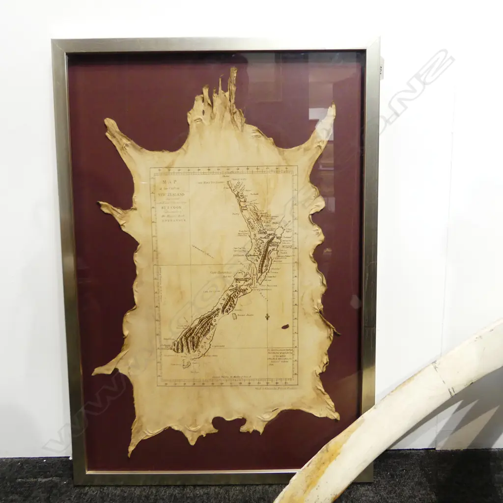 COOK MAP OF NZ ON POSSUM SKIN, FRAMED 645x435mm Image 1++