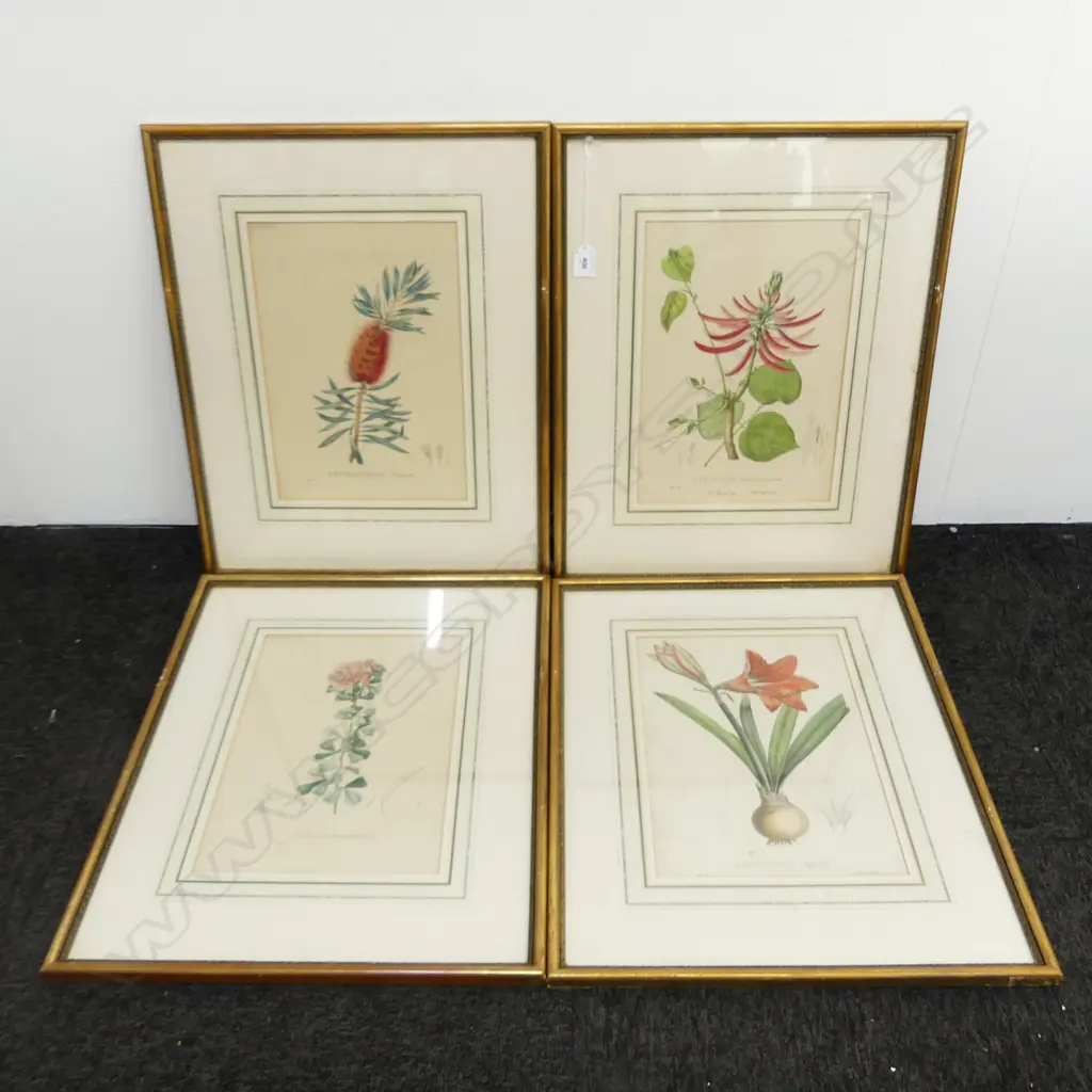 4 FRAMED BOTANICAL PRINTS 330x240mm Image 1++