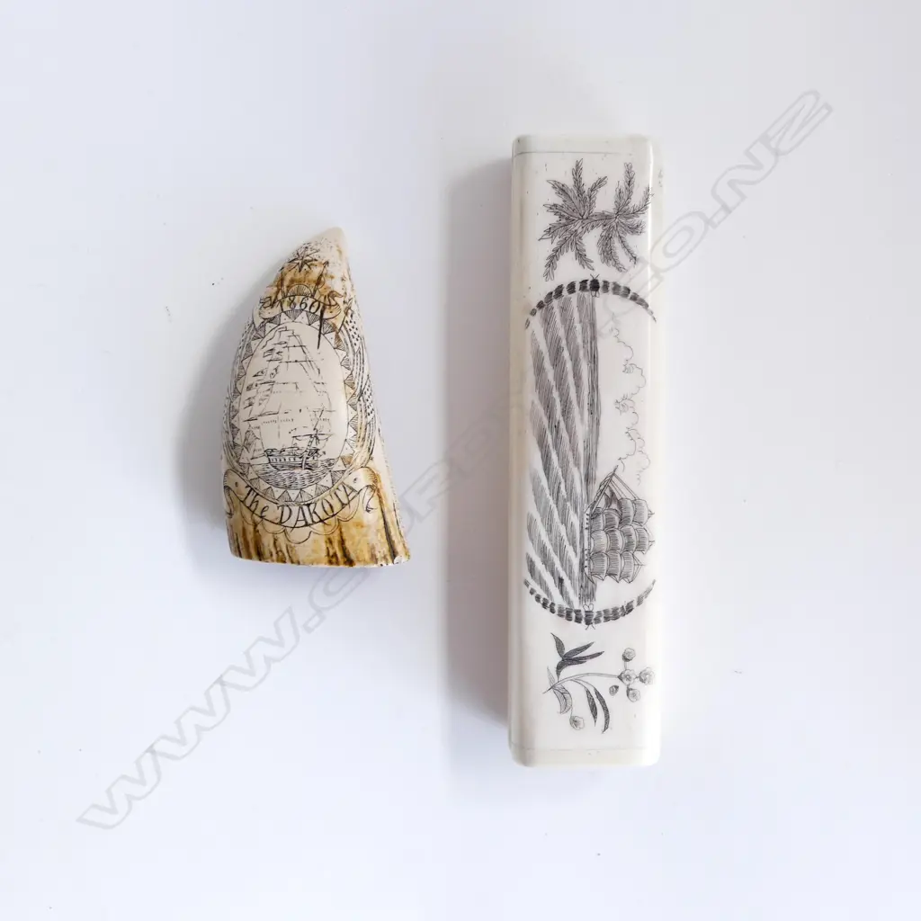 2 SCRIMSHAW; LONG BONE BOX L.160mm, RESIN TOOTH Image 1++