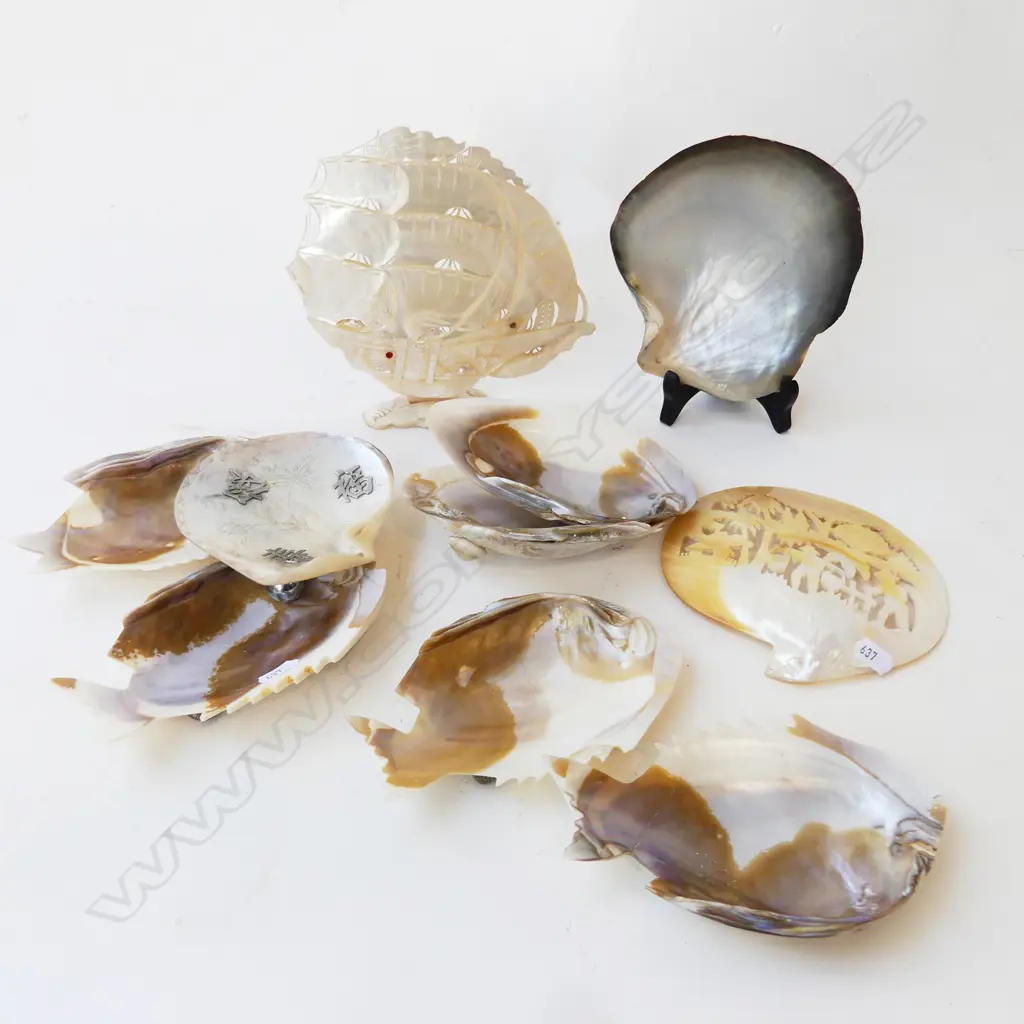 ASST.CARVED DECORATIVE MOP SHELLS etc (10) Image 1++
