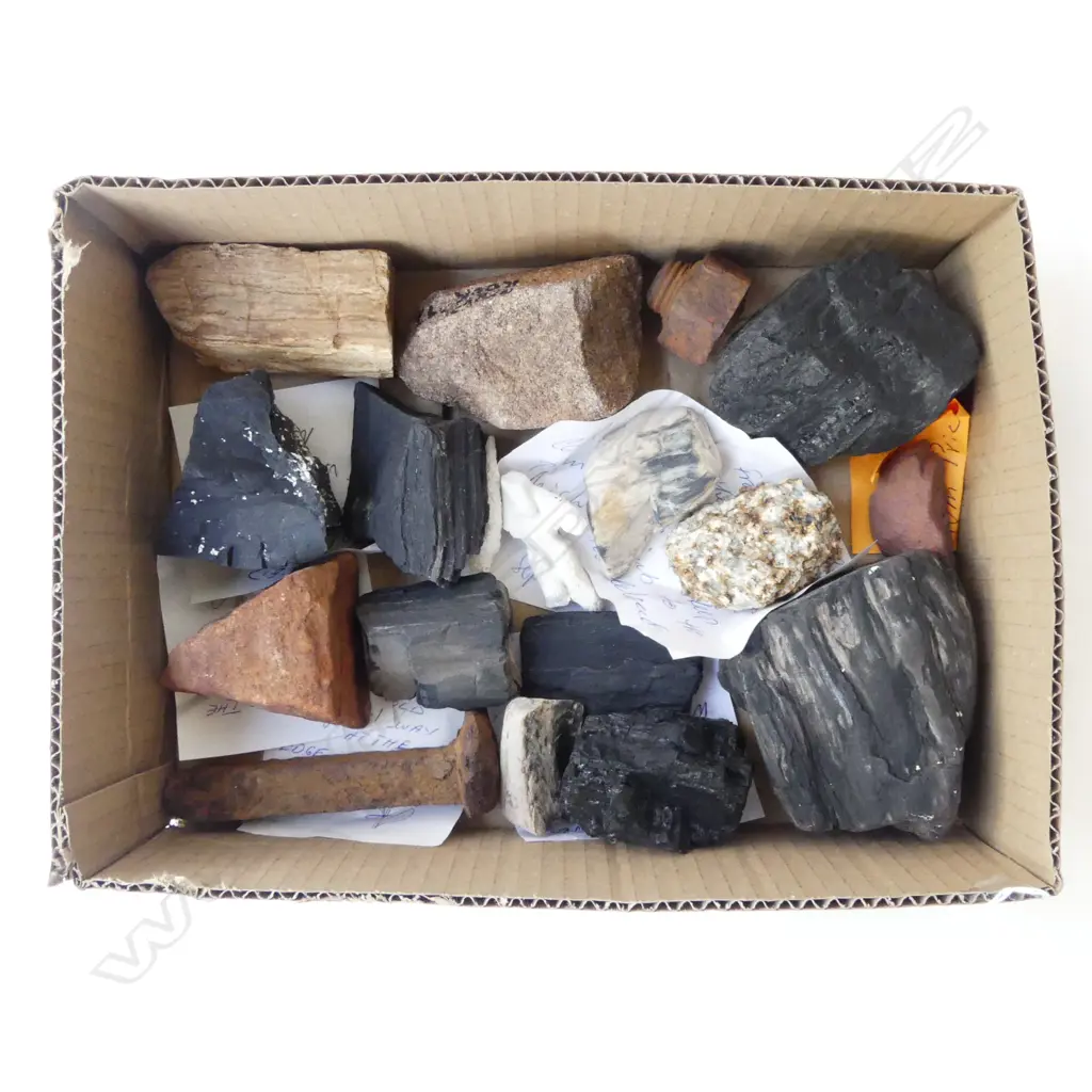 SMALL COLLECTION ROCKS CORAL ETC Image 1++