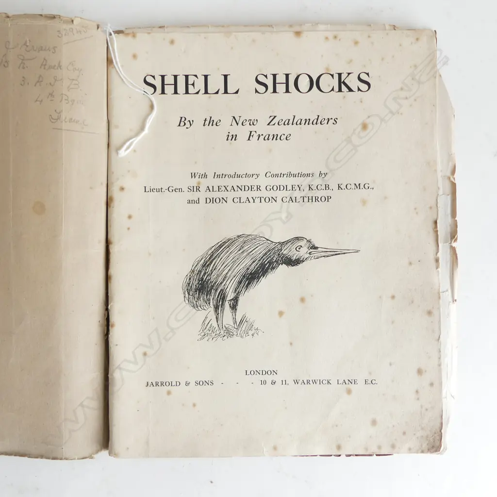 WW1 EDITION SHELL SHOCK NZERS IN FRANCE Image 1++