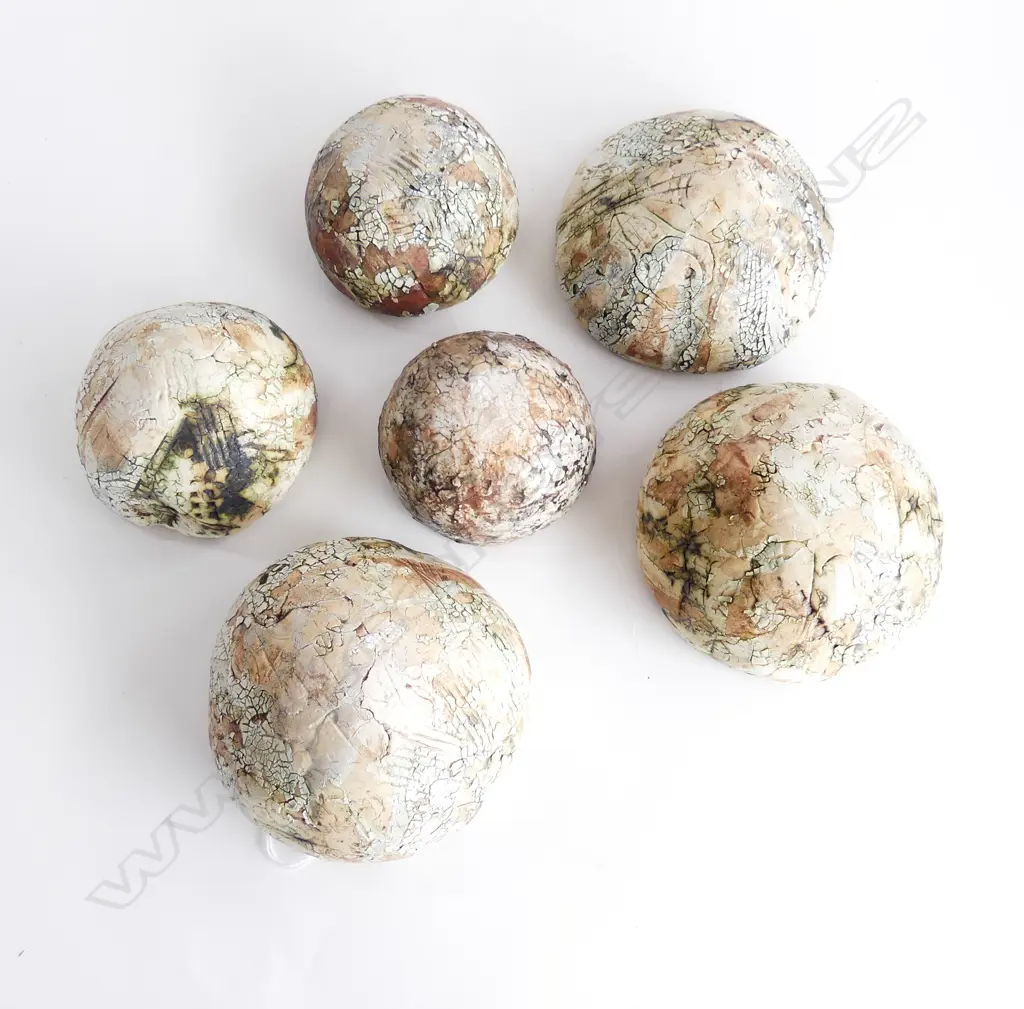 Helen Yau A Collection of six Organic Pottery Forms largest diam approx. 130mm Image 1++