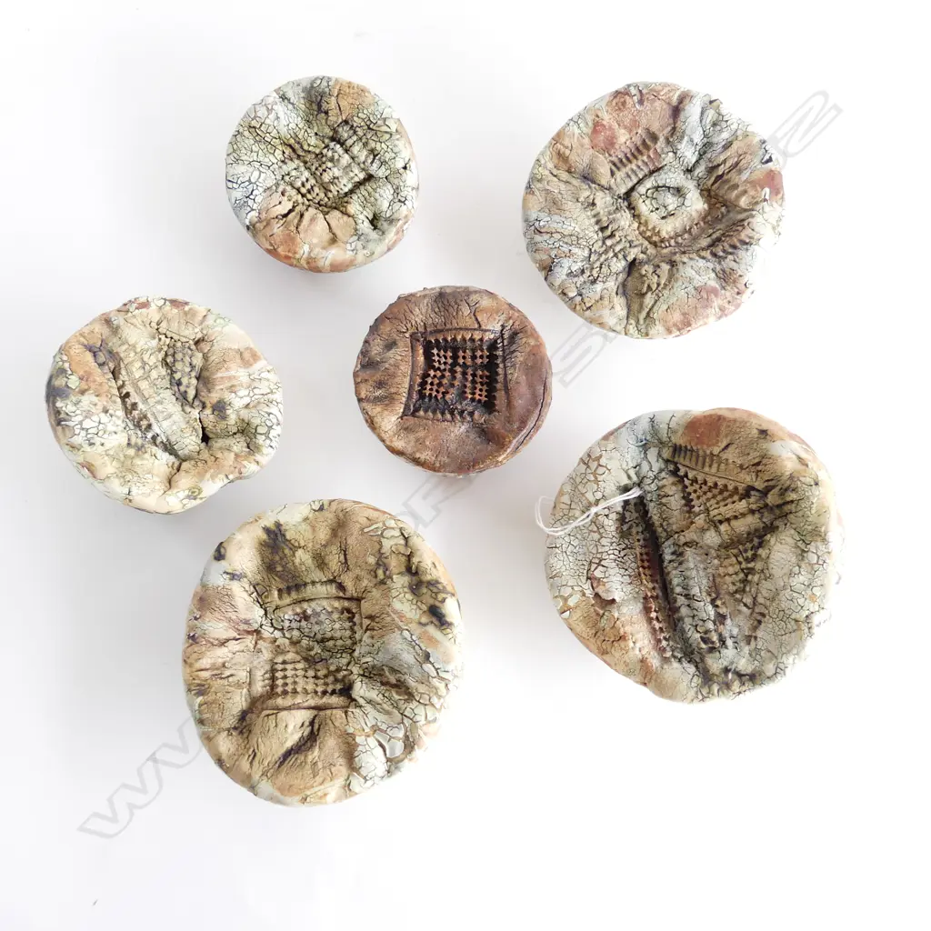 Helen Yau A Collection of six Organic Pottery Forms largest diam approx. 130mm Image 1++
