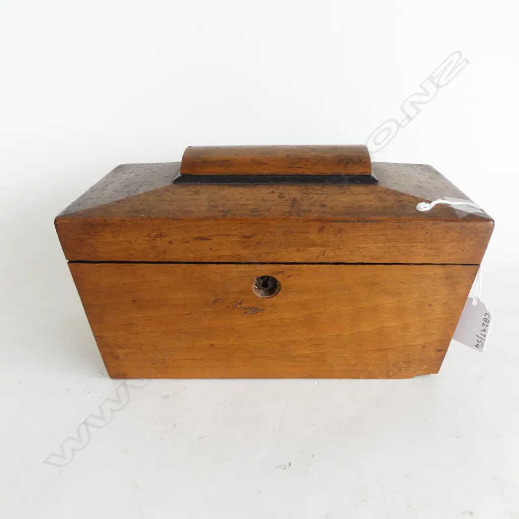 GEO WALNUT TEA CADDY L250MM Image 1++