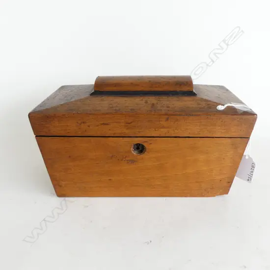 GEO WALNUT TEA CADDY L250MM