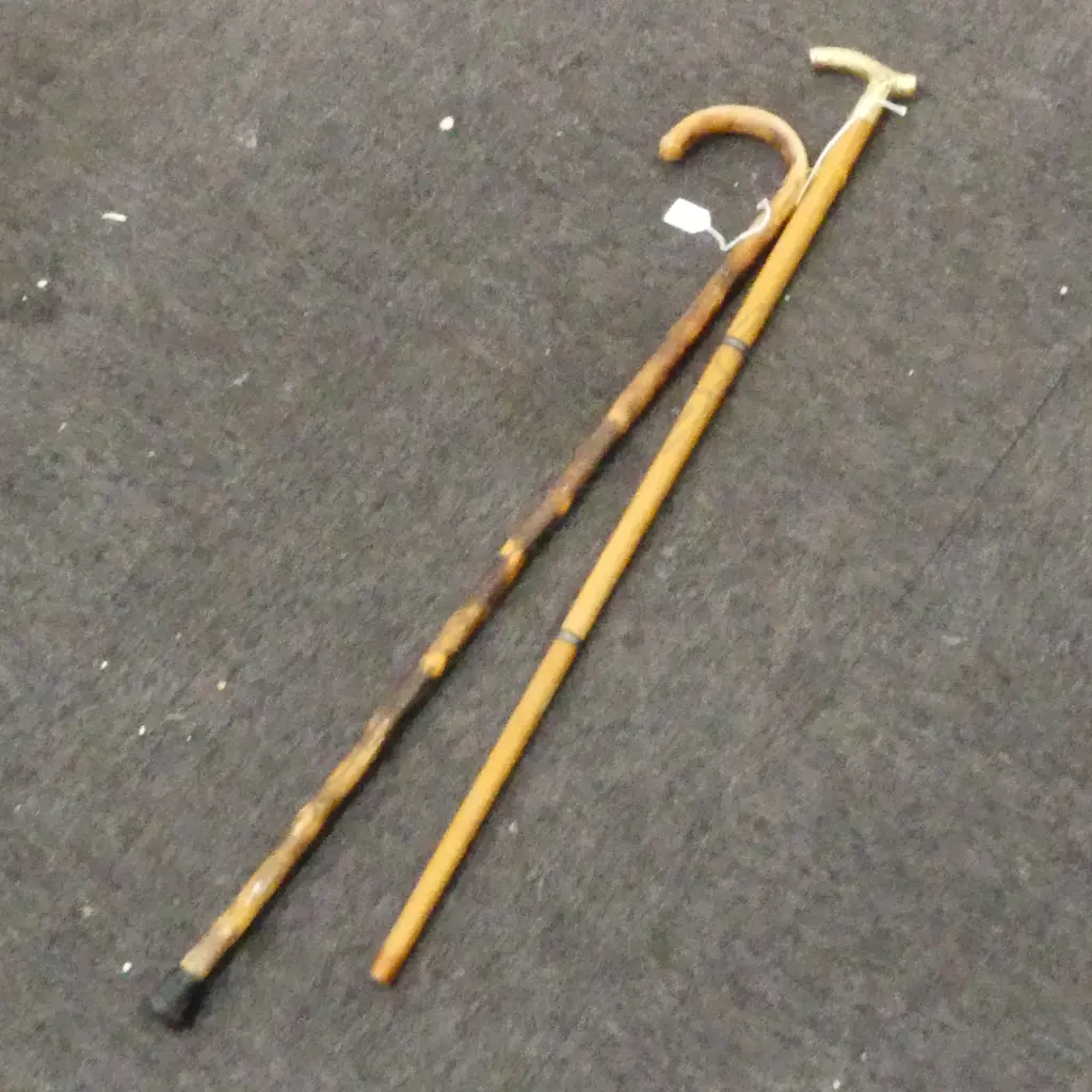 TWO WALKING STICKS, ONE BRASS HANDLED, ONE CANE Image 1++