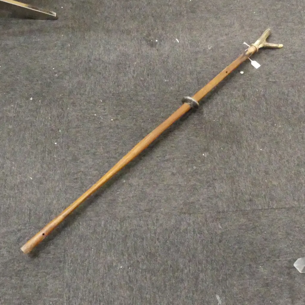 WALKING STICK w. HORN HANDLE L.1285mm Image 1++