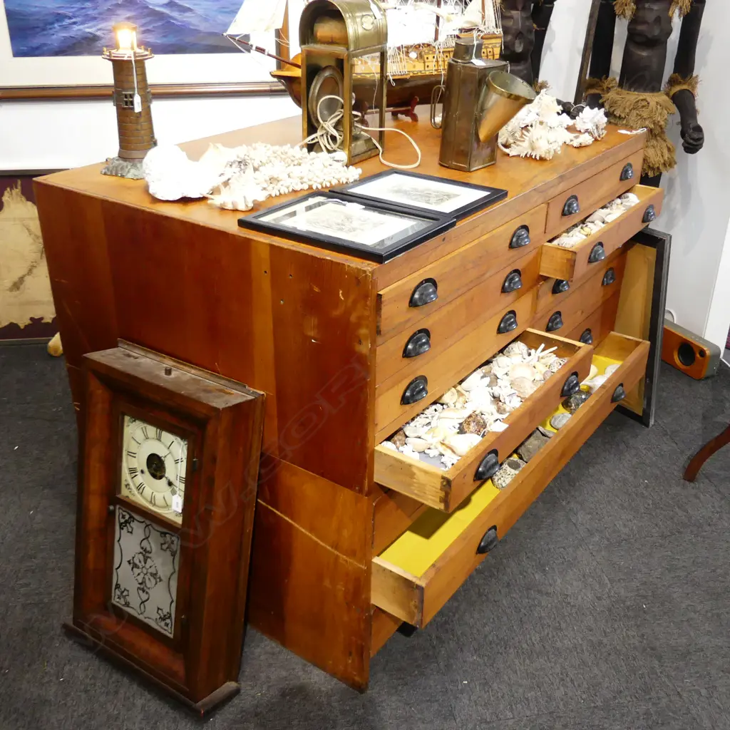 1940's 14 DRAWER COLLECTOR'S/PLAN CABINET/DRAWERS 1370 x 910 x 990mm Image 1++