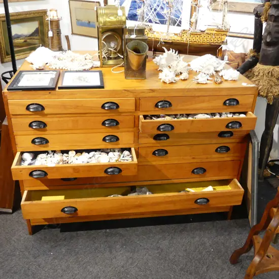 1940's 14 DRAWER COLLECTOR'S/PLAN CABINET/DRAWERS 1370 x 910 x 990mm