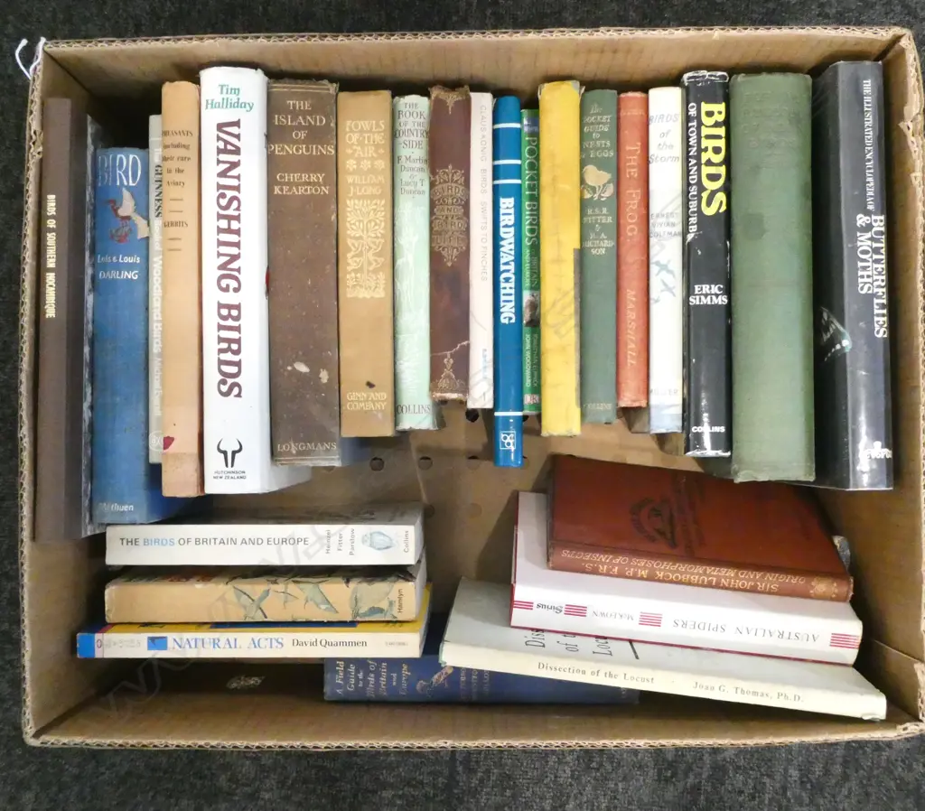 ASST BOOKS; BIRDS, SPIDERS, etc Image 1++