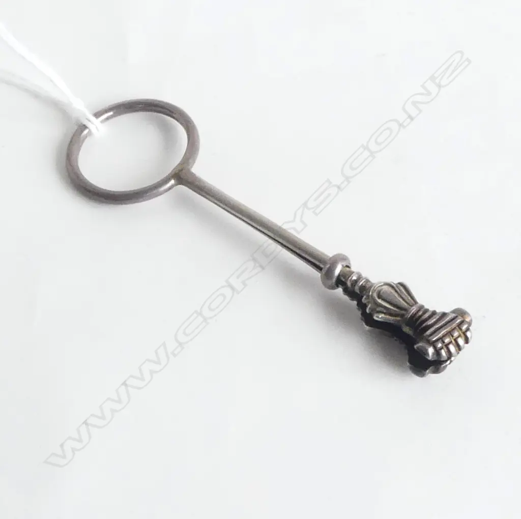 S/SILVER SKIRT LIFTER 10GMS Image 1++