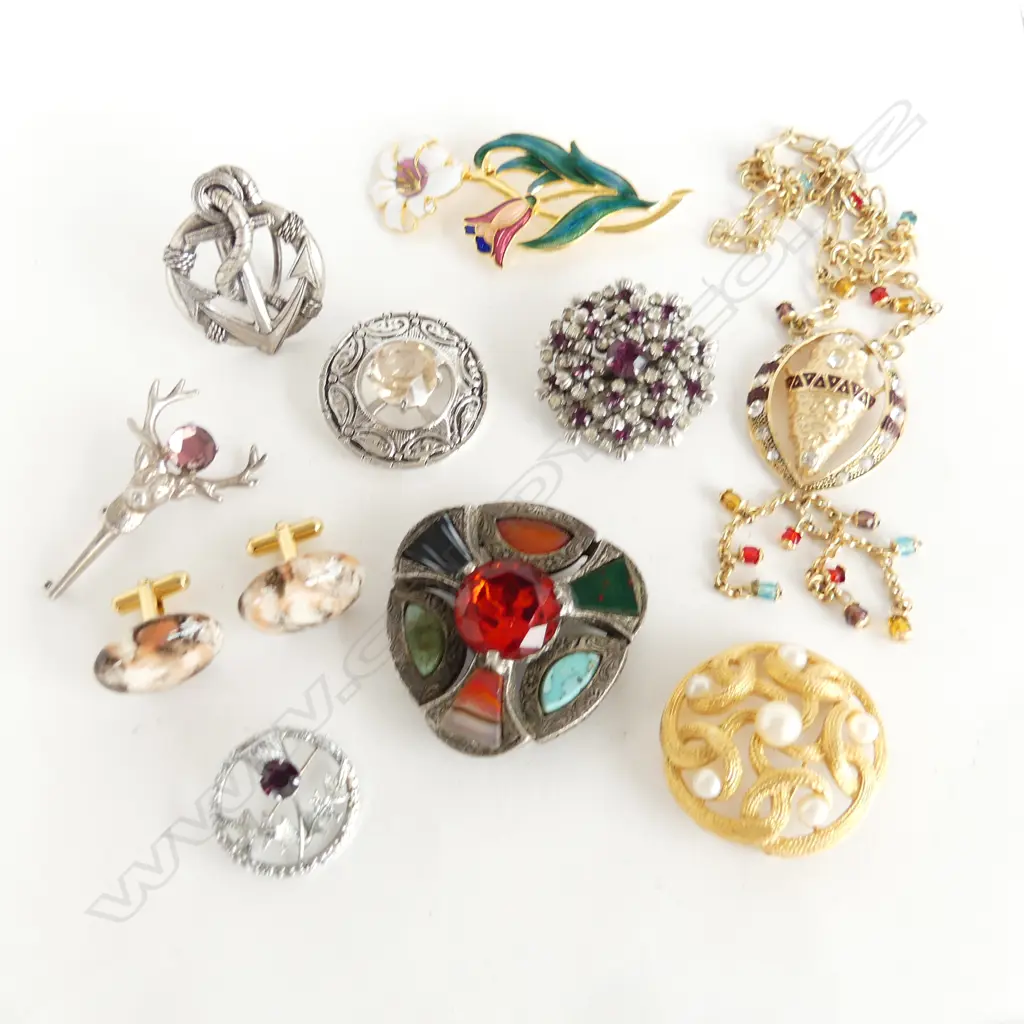 8 COSTUME BROOCHES, NECKLACE & PR EARRINGS Image 1++