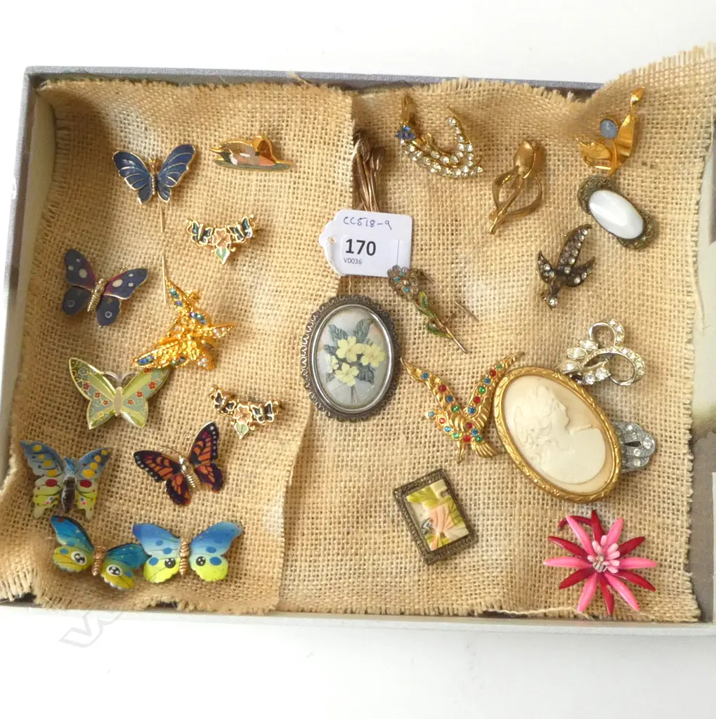 ASST COSTUME BROOCHES  Image 1++