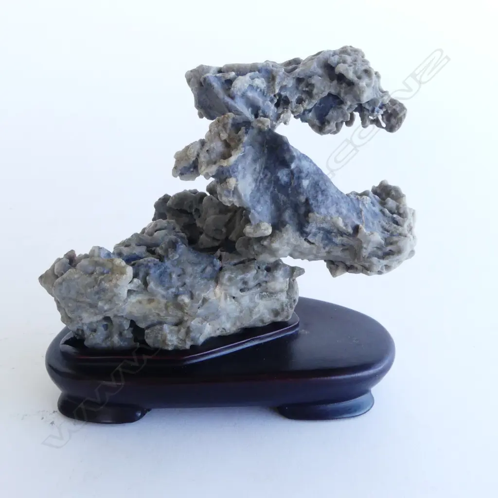 SMALL NATURAL WEATHERED SCHOLARS ROCK on stand ex. Gobi desert. looks like a stylised dragon H.115mm Image 1++