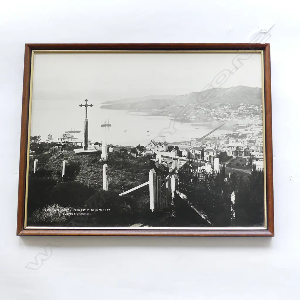 BURTON BROTHERS reprint photo Wgtn Harbour from the Catholic Cemetery 360 x 480 mm Image 1++