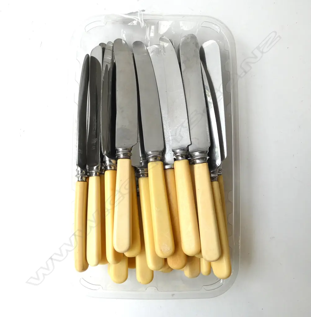 29 ‘BONE’ HANDLE KNIVES SHEFFIELD UK VARIOUS MAKERS Image 1++