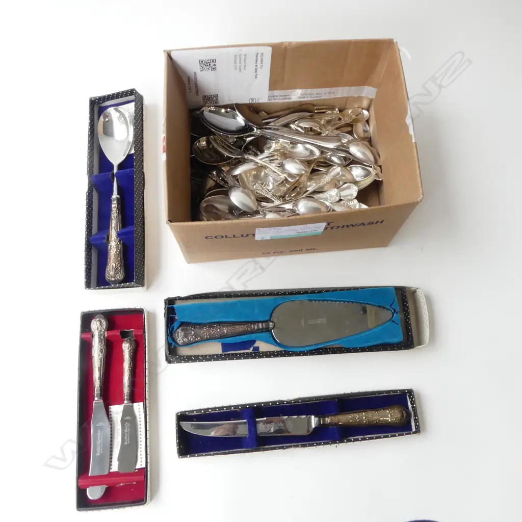 ASST EP & STEEL CUTLERY; QUEENS PATTERN etc Image 1++