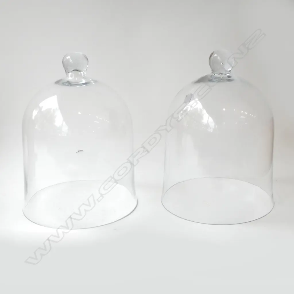 PR LG GLASS CLOCHES, Dia.290mm Image 1++
