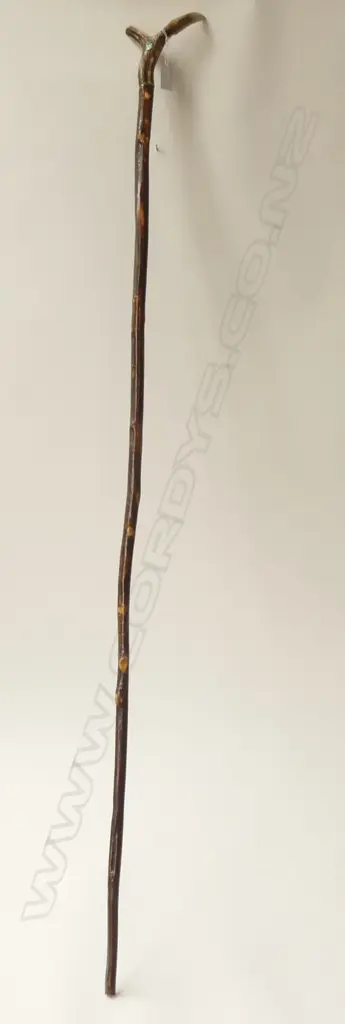 LACQUERED PILGRIMS STAFF w. HORN HANDLE & SMALL PAUA INLAY H.1340mm Image 1++