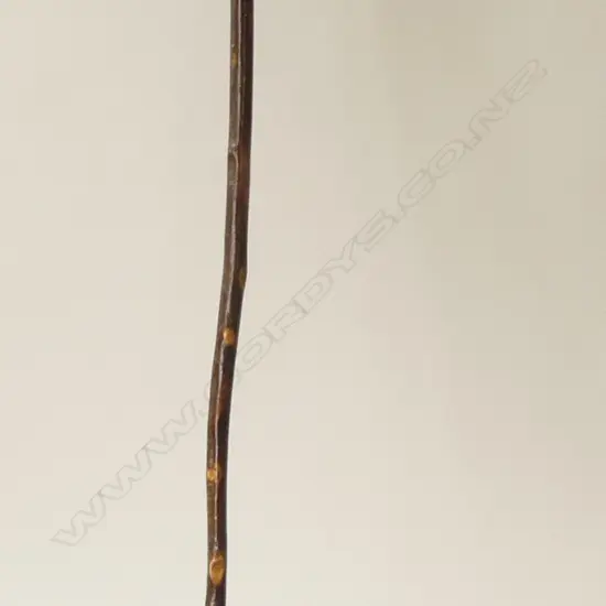 LACQUERED PILGRIMS STAFF w. HORN HANDLE & SMALL PAUA INLAY H.1340mm