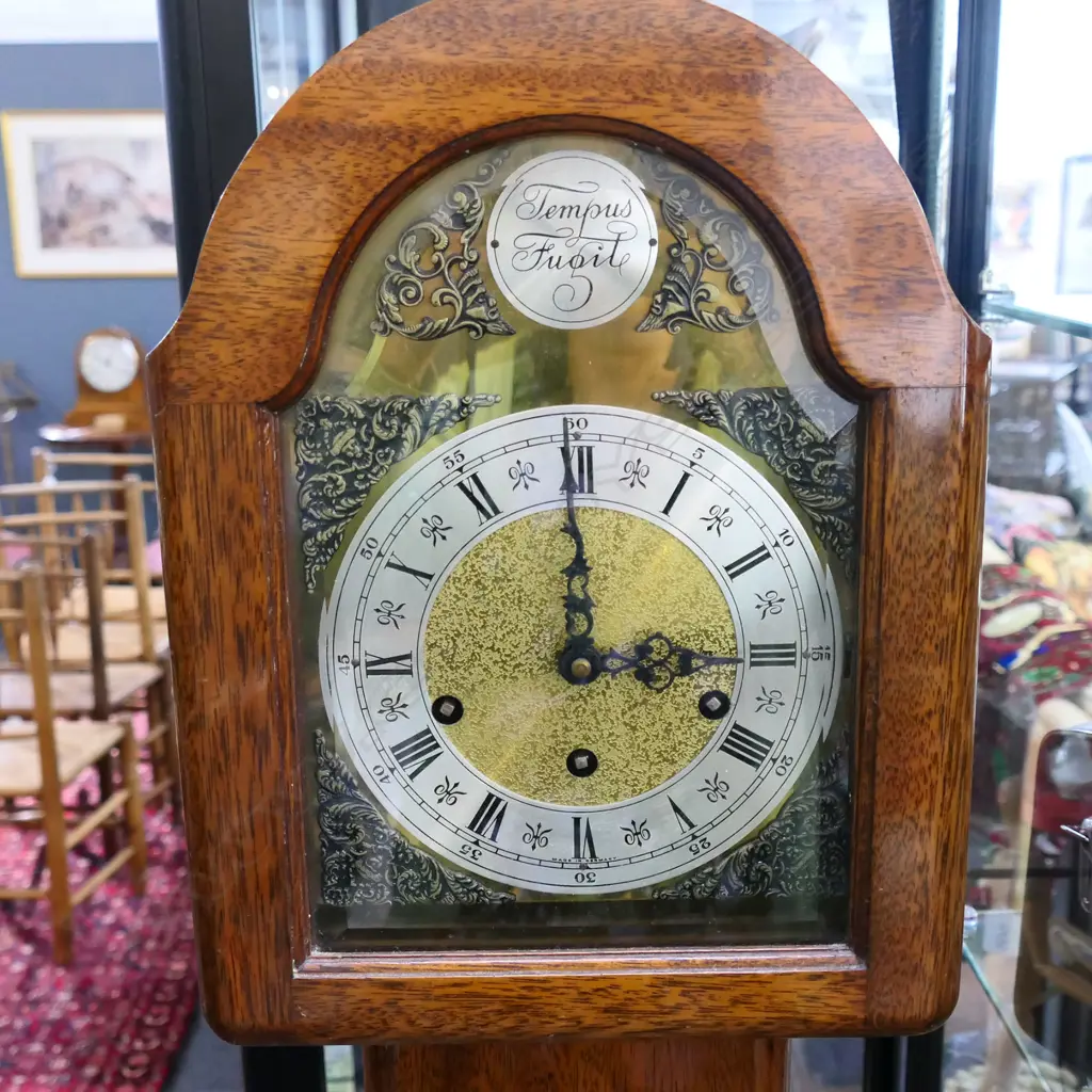 GRANDMOTHER CLOCK 'TEMPUS FUGIT' H.1540mm Image 1++