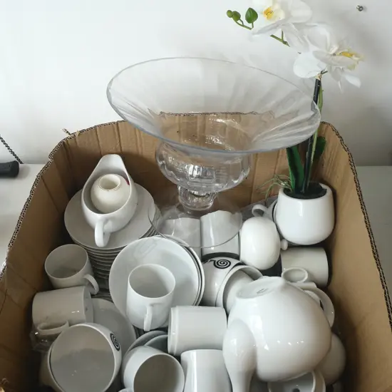 ASST. WHITE CHINA; THOMAS ETC