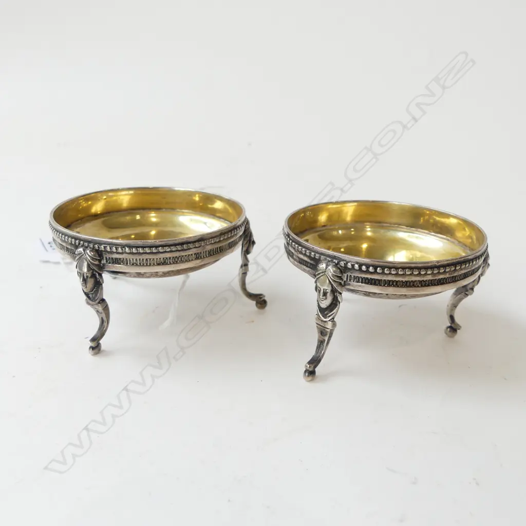 PR AUSTRO HUNGARIAN 800 SILVER SALTS, 121grms Image 1++