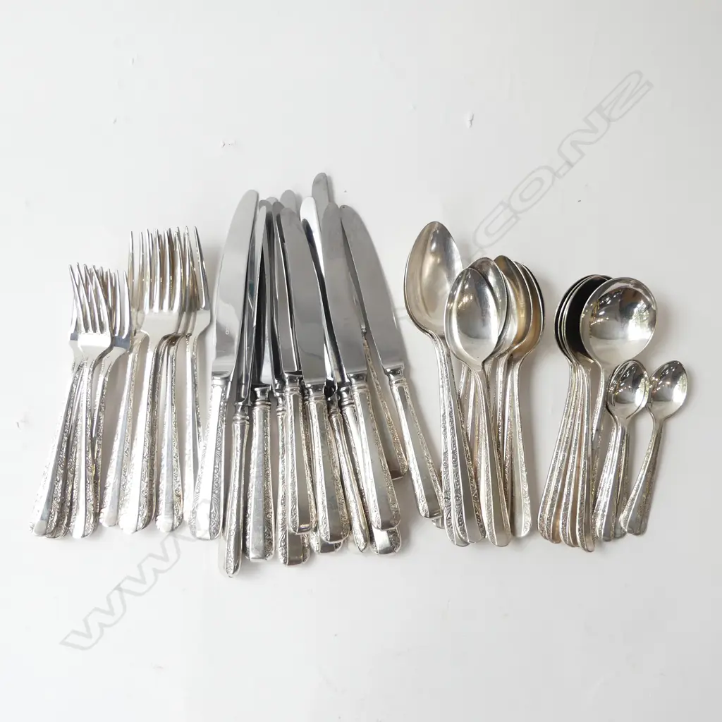 44PC RODD ‘NEMESIA’ CUTLERY SET COMPLETE 6 PLACE SETTING & SERVING SPOONS  Image 1++