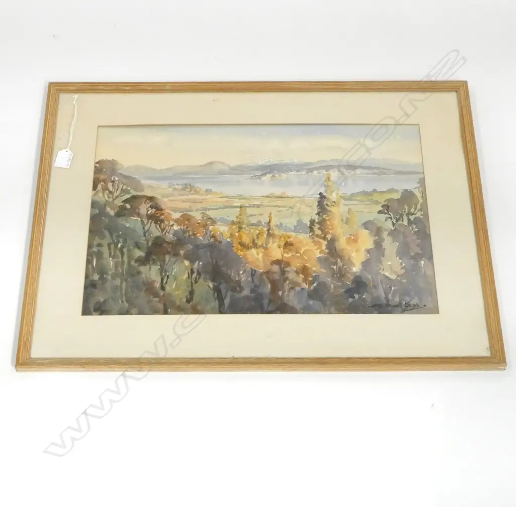 BIRTCHNELL DELPH W/C, 350x520mm Image 1++