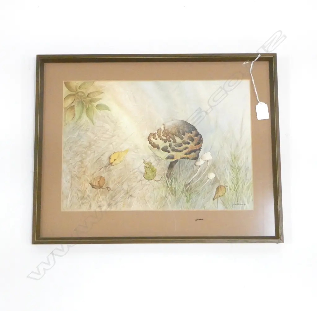 C. SHAW, UNTITLED, WATERCOLOUR, 260x380mm Image 1++