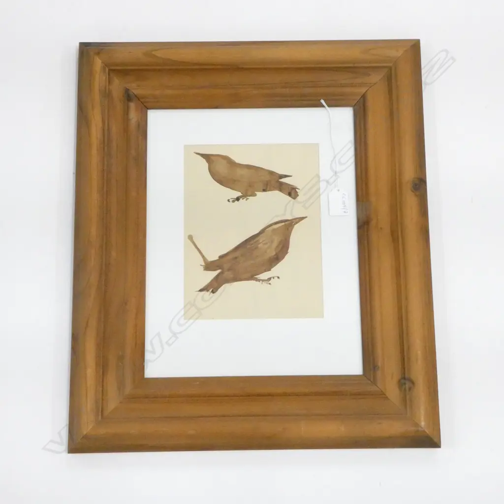 JOHN WEEKS, THRUSHES, WC 290x170mm Image 1++